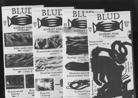 Bludy